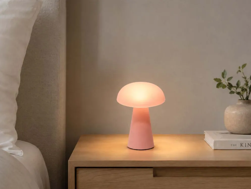 LAMPARA LED QUITAMIEDOS 15X18 ROSA