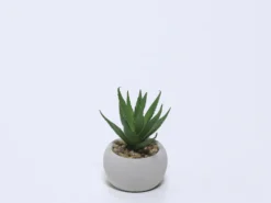 MACETA CEMENTO CON SUCULENTA B 8X6