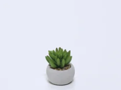 MACETA CEMENTO CON SUCULENTA A 8X6