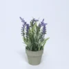 MACETA CON PLANTA DE LAVANDA 10,5X31 cm