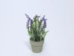MACETA CON PLANTA DE LAVANDA 10,5X31 cm