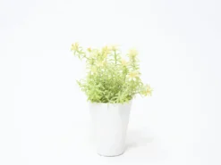 MACETA FLOR AMARILLA Ø7X20