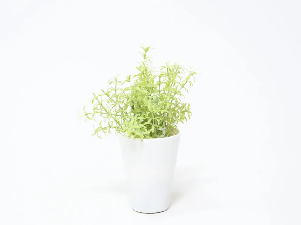 MACETA FLOR BLANCA Ø7X20