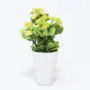 MACETA FLOR BOLITAS AMAR Ø7X30CM