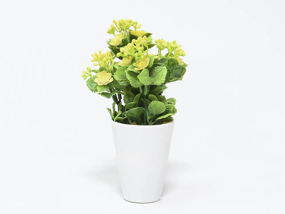MACETA FLOR BOLITAS AMAR Ø7X30CM