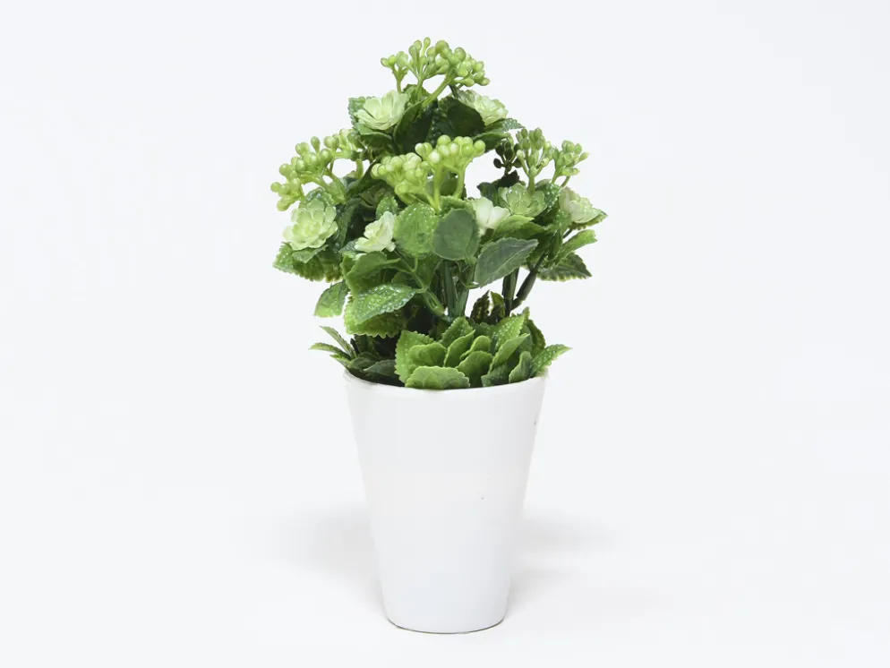 MACETA FLOR BOLITAS CRUDO Ø7X23CM