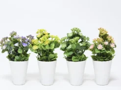 MACETA FLOR BOLITAS CRUDO Ø7X23CM
