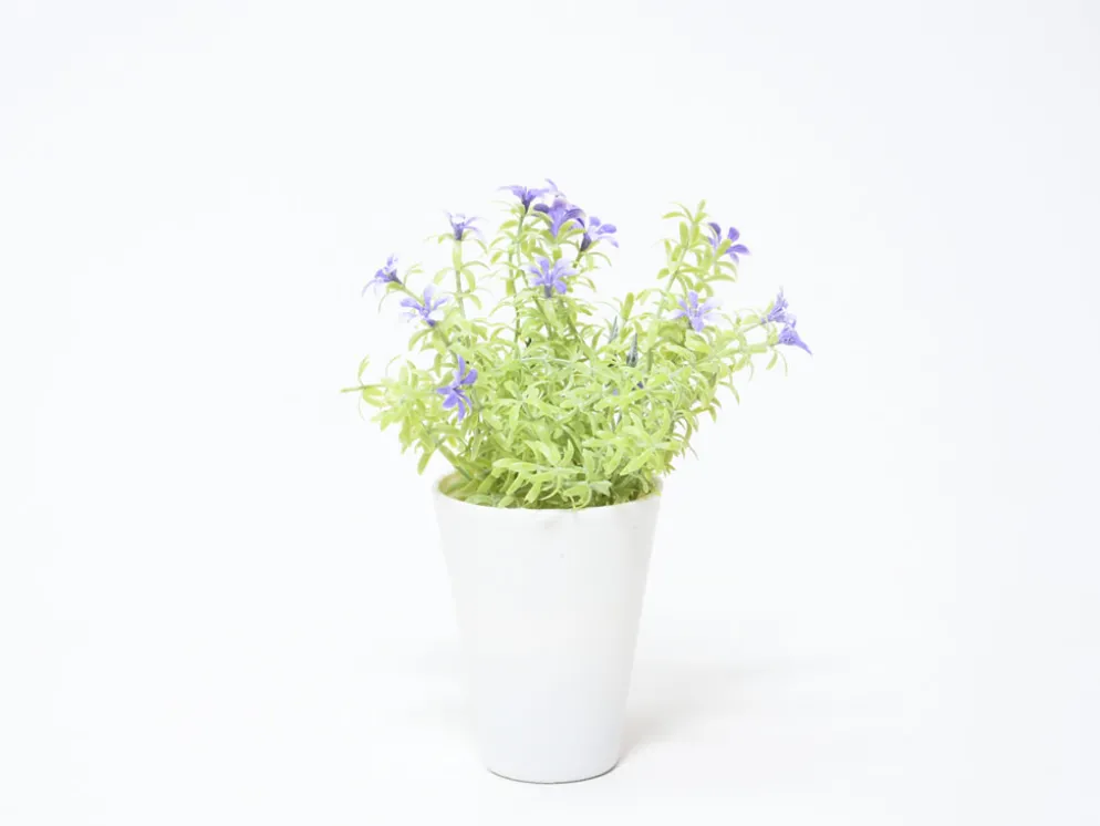 MACETA FLOR LILA Ø7X20CM