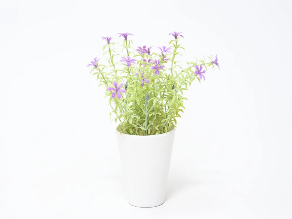 MACETA FLOR ROSA Ø7X20