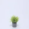MACETA GRIS CON PLANTA VERDE A 10x10x18CM