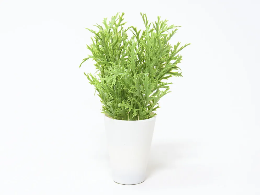 MACETA HOJAS LARGAS B 25CM
