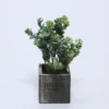 MACETA MADERA CON EUCALIPTO VERDE