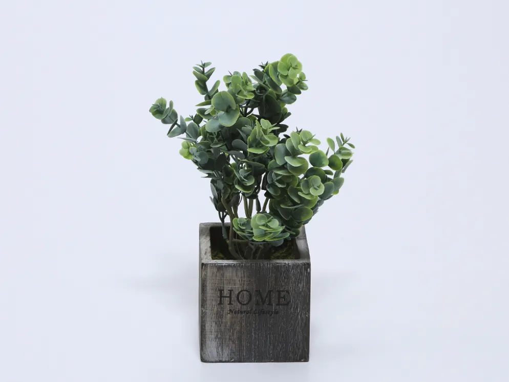 MACETA MADERA CON EUCALIPTO VERDE