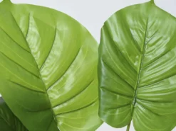 MACETA MIMBRE C/PLANTA B Ø11X45CM