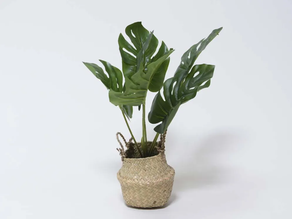 MACETA MIMBRE C/PLANTA C Ø11X45CM