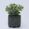 MACETA PLANTA CERAMICA A 11X11X20CM