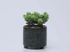 MACETA PLANTA CERAMICA C 11X11X20CM