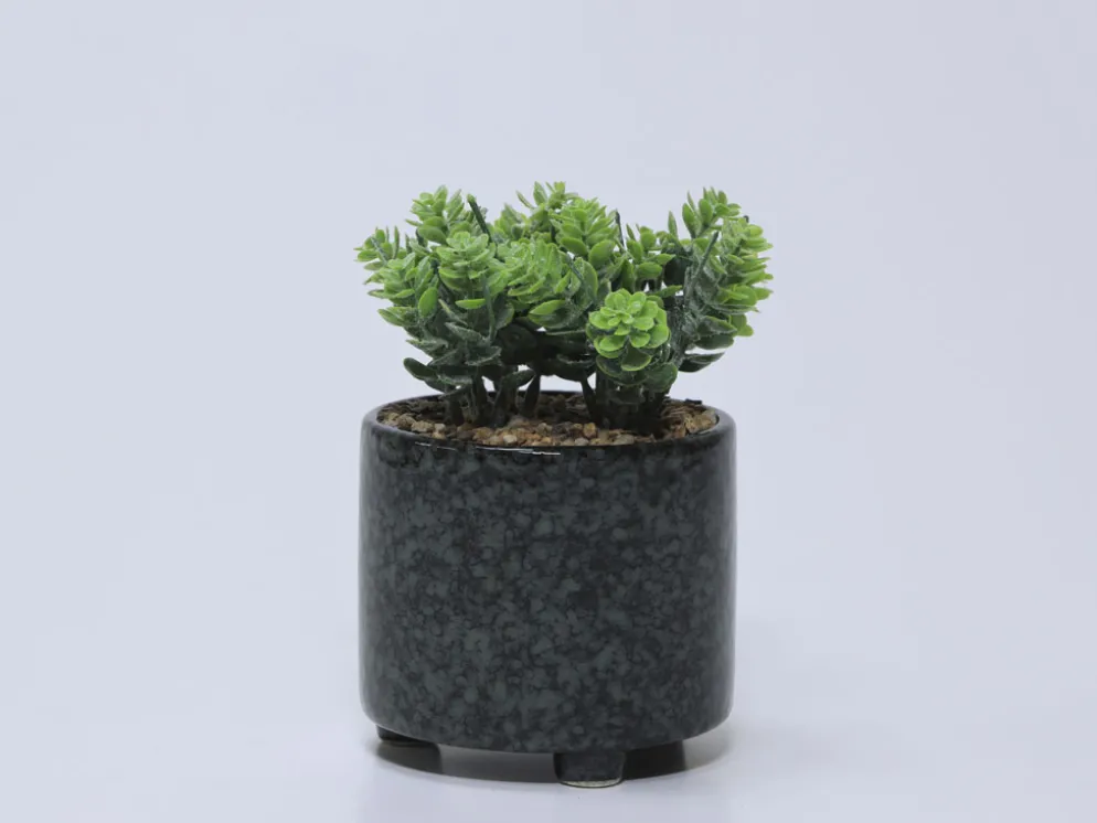 MACETA PLANTA CERAMICA C 11X11X20CM