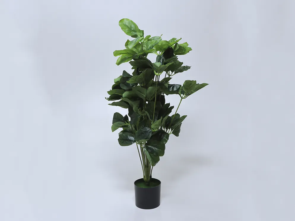 MACETA PLANTA HOJAS OVALADAS 105CM ALTO