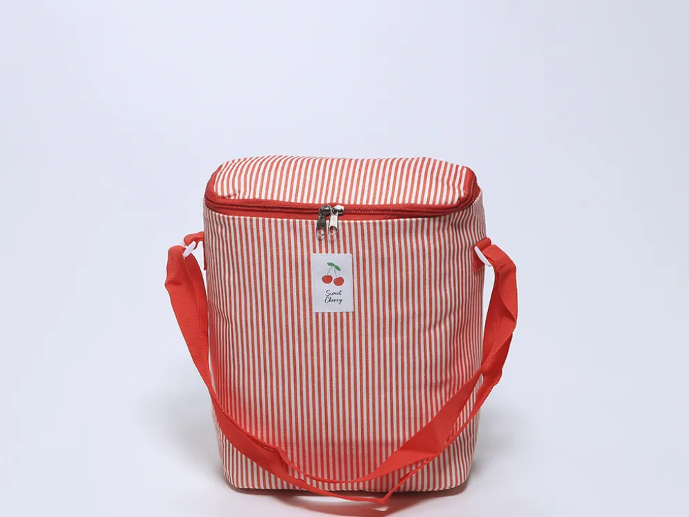 NEVERA ISOTERMICA CLARA ROJA 25X14X31