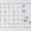 ORGANIZADOR PARED METAL 4 PINZAS 56X35CM