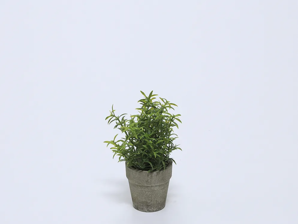 PLANTA EN MACETA CERAMICA VERDE A