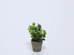PLANTA EN MACETA CERAMICA VERDE B
