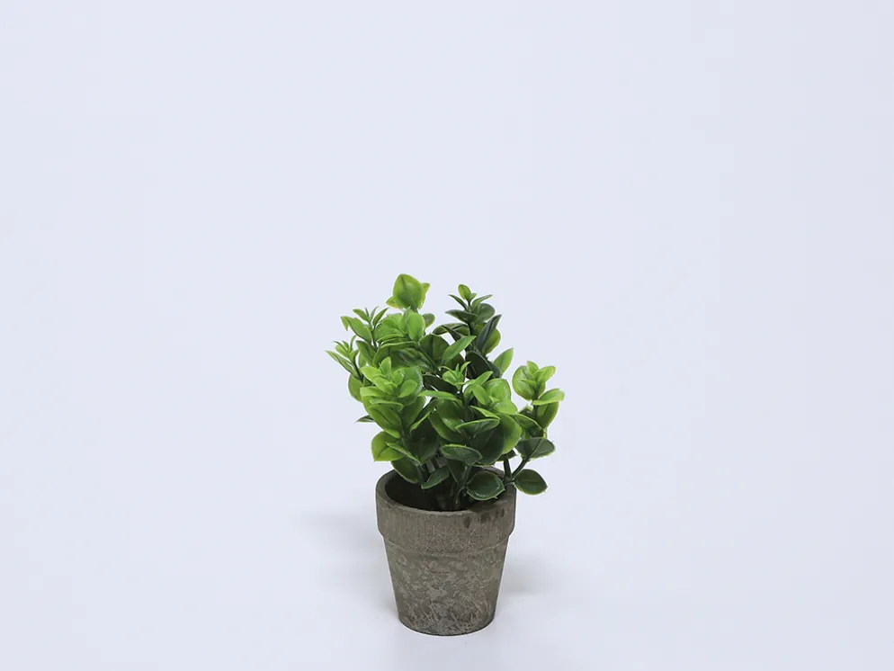 PLANTA EN MACETA CERAMICA VERDE B