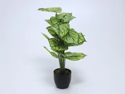 PLANTA EN MACETA 66CM A