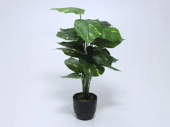 PLANTA EN MACETA 66CM B