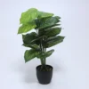 PLANTA EN MACETA 66CM C