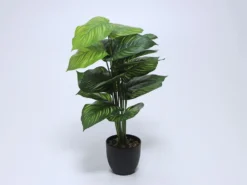 PLANTA EN MACETA 66CM C