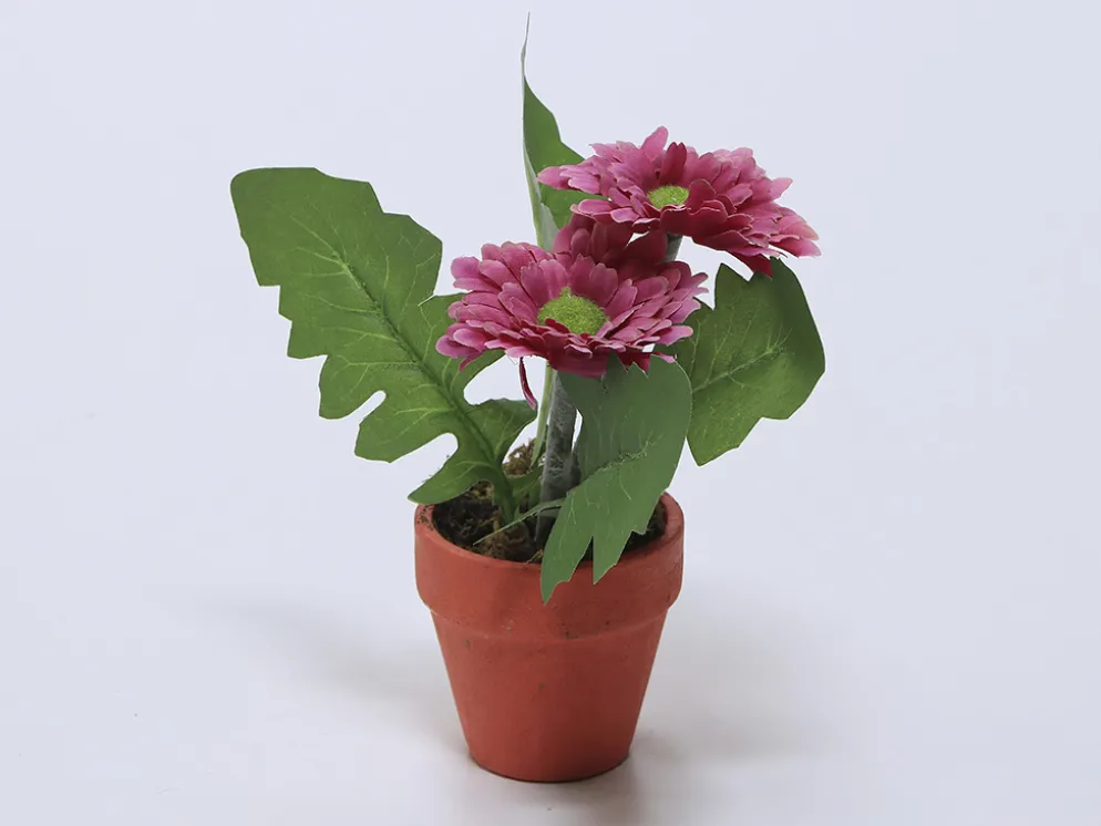 PLANTA FLOR GERBERA FUCSIA 12X18