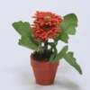 PLANTA FLOR GERBERA NARANJA 12X18