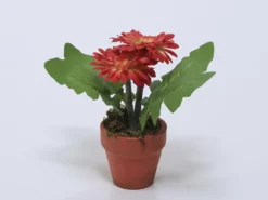 PLANTA FLOR GERBERA ROJA 12X18