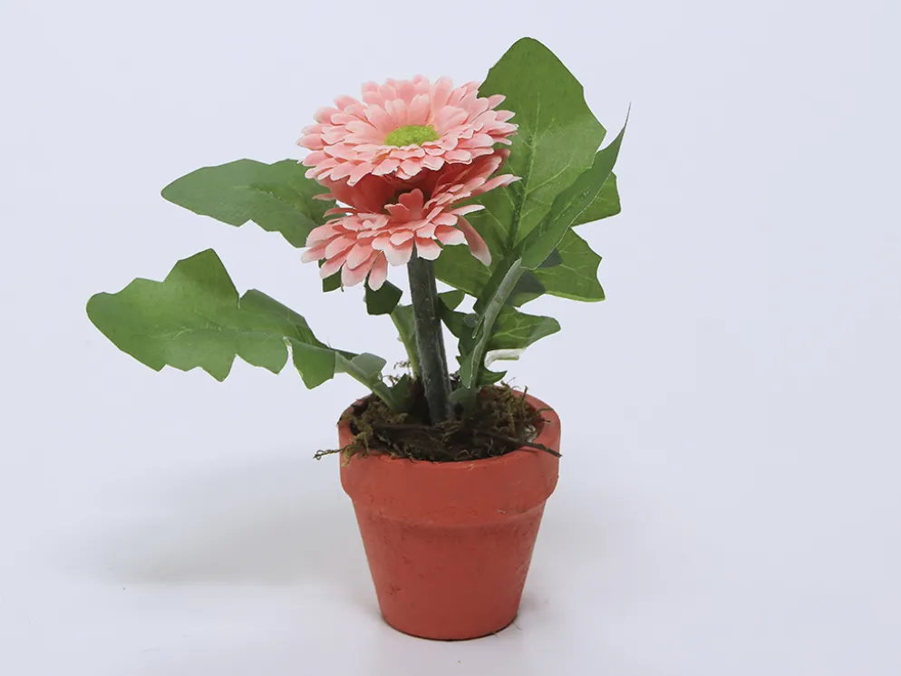 PLANTA FLOR GERBERA ROSA 12X18