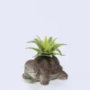 PLANTA MACETA CEMENTO TORTUGA 9X7X7