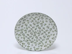 PLATO RAMAS VERDE LLANO