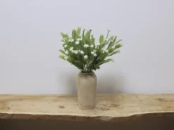 RAMO CACTUS CREMA