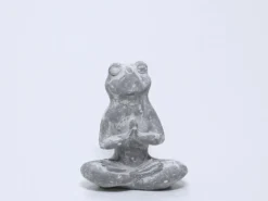 RANA CEMENTO YOGA B