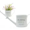 REGADERA PLANTS Ø16X17CM