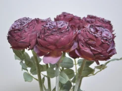 VARA PEONIA DRY BURDEOS 58CM