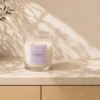 VELA PERFUMADA 120GR BLACKBERRY BAY